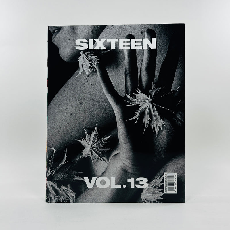 Sixteen #13 - The Golden Record