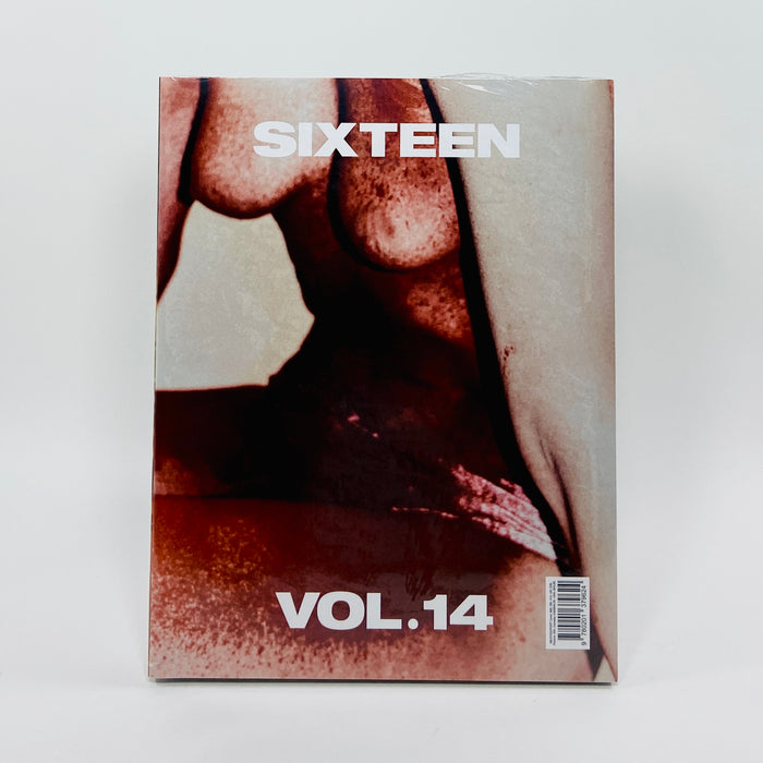 Sixteen #14 - The Photographic Gesture