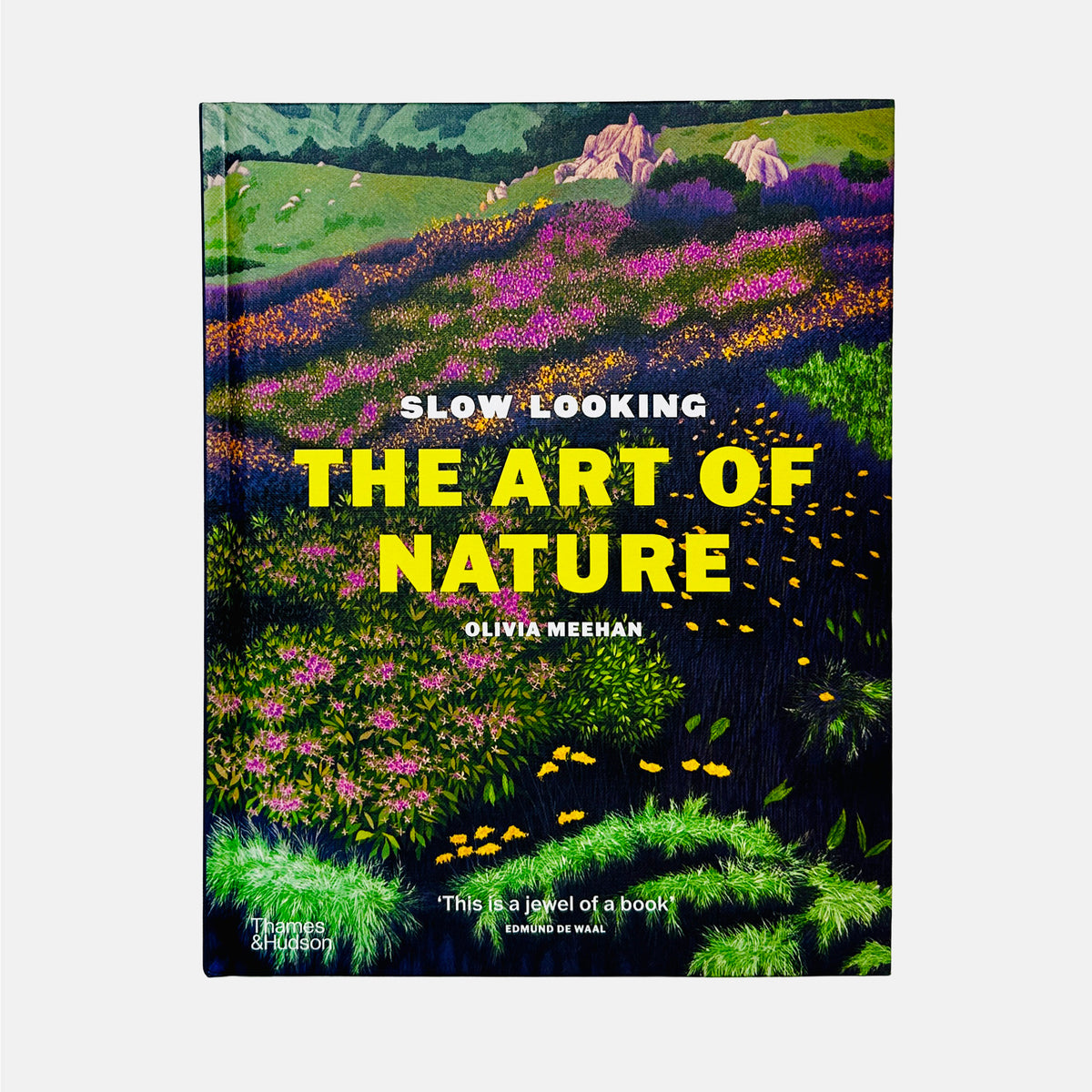 Slow Looking - The Art of Nature