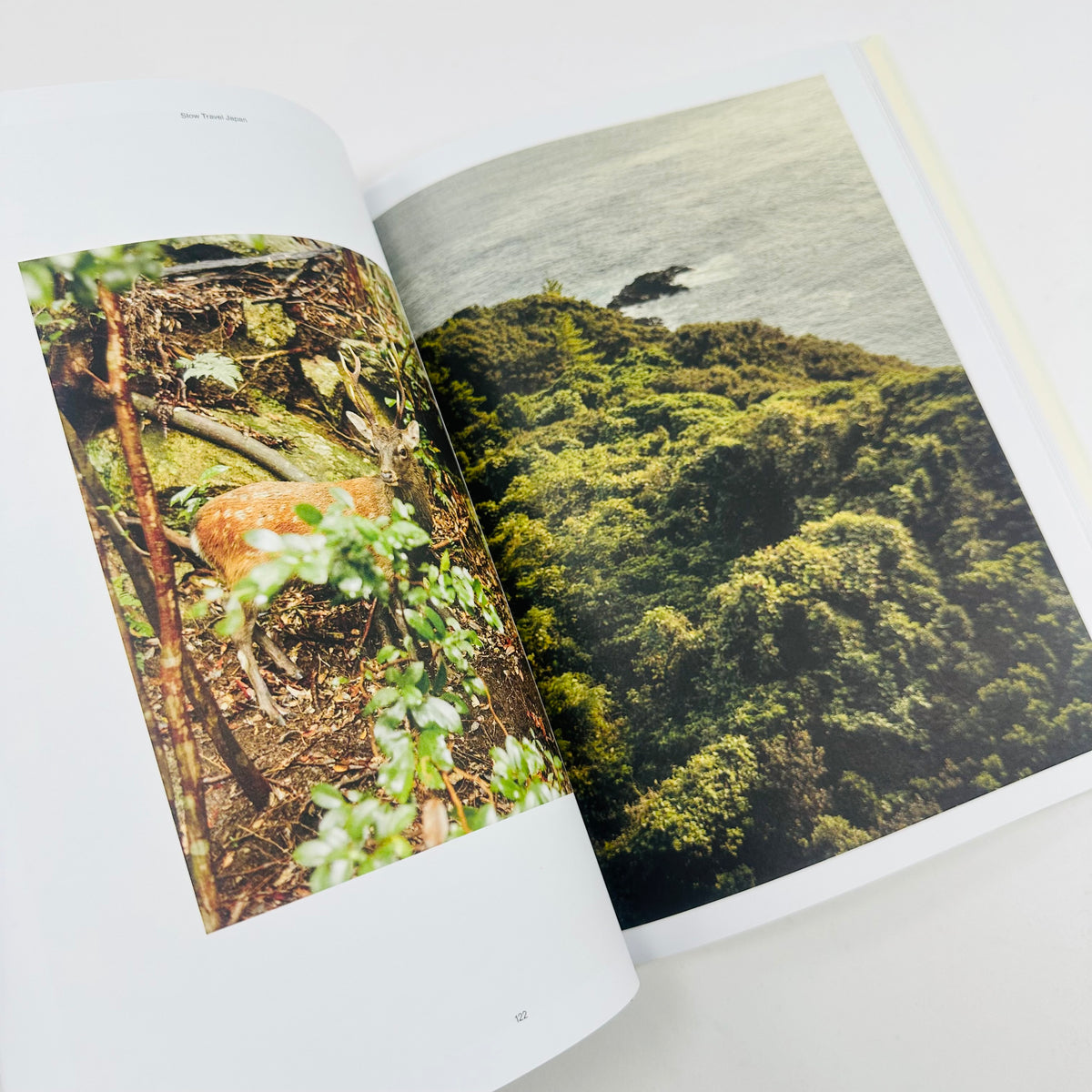 Slow Travel Japan - Lodestars Anthology