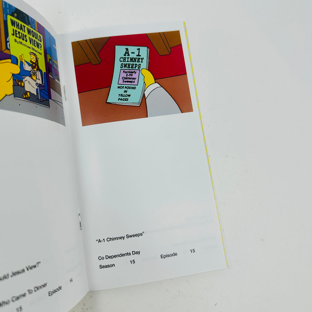So You've Purchased A Simpsons Pamphlet Zine