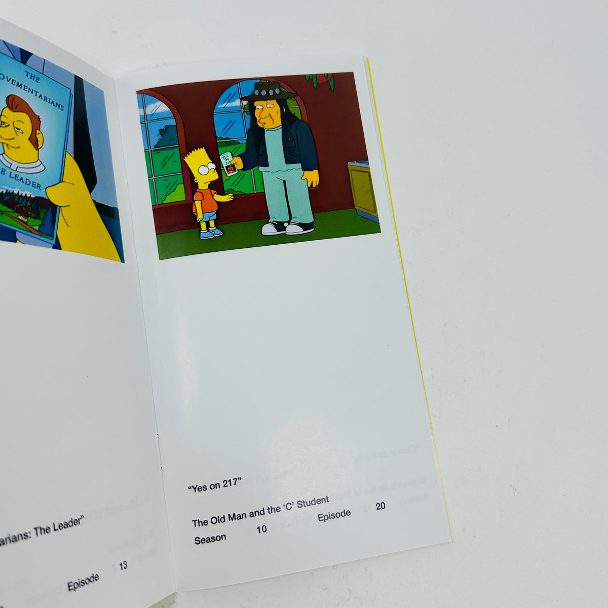 So You've Purchased A Simpsons Pamphlet Zine