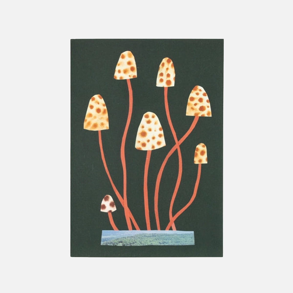 Spotty Mushroom - Hadley Card