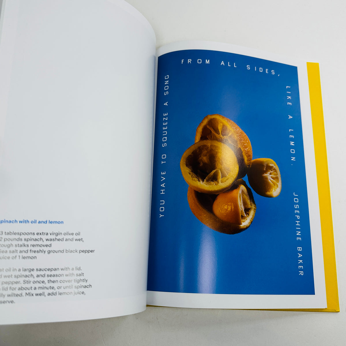 Squeeze Me - Lemons, Recipes and Art