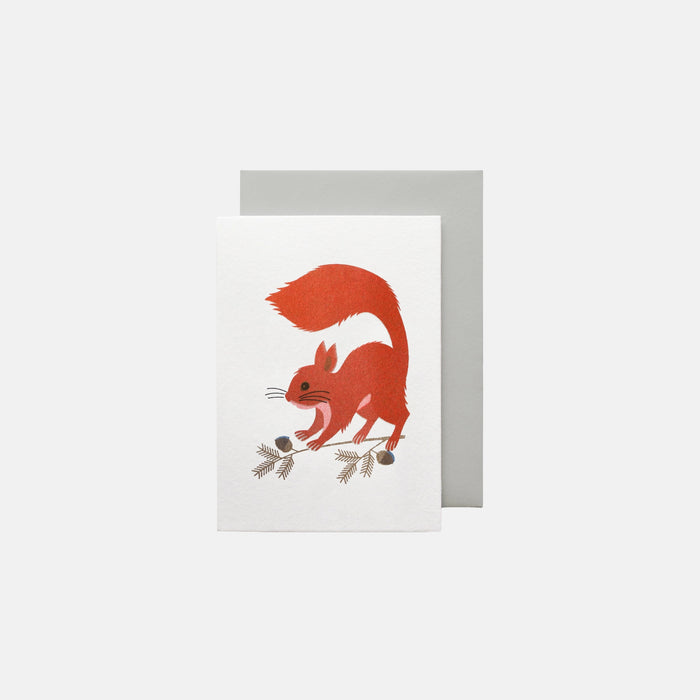 Squirrel - Bobbie Print Card