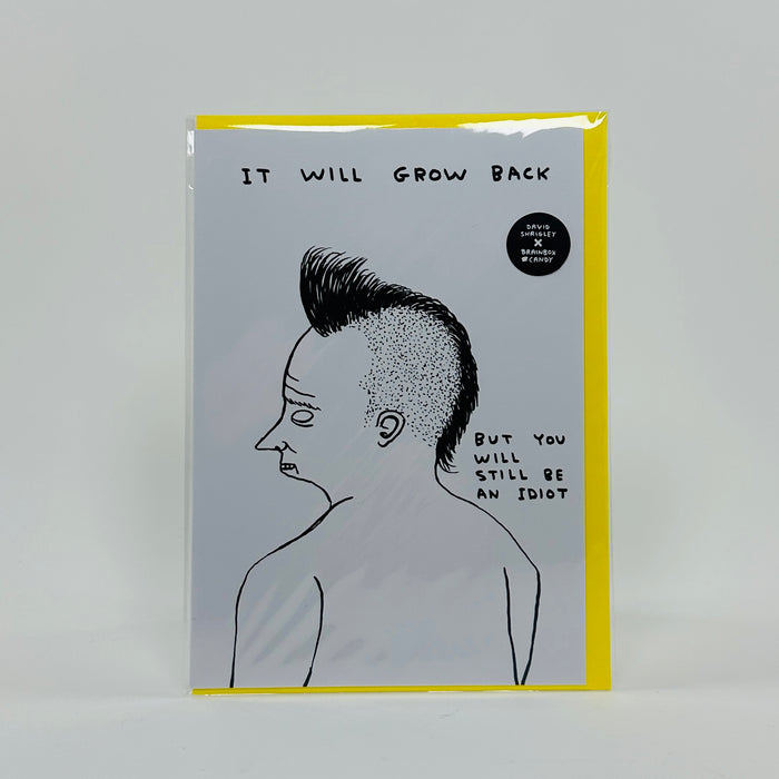 Still an Idiot - David Shrigley Card