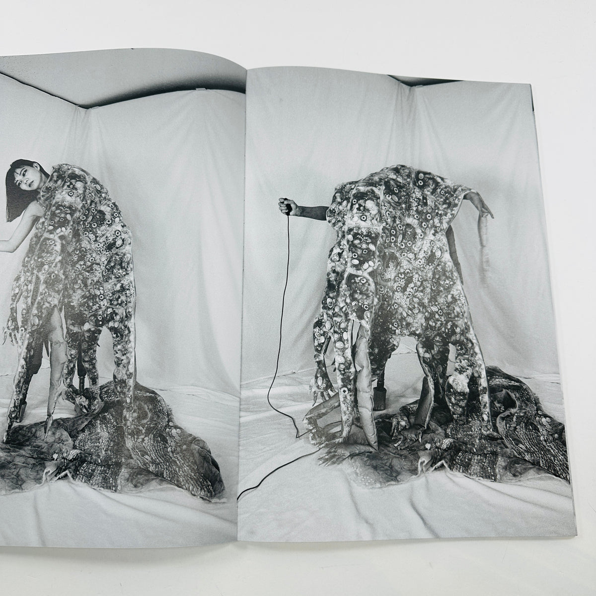 Synthesis - Mari Katayama