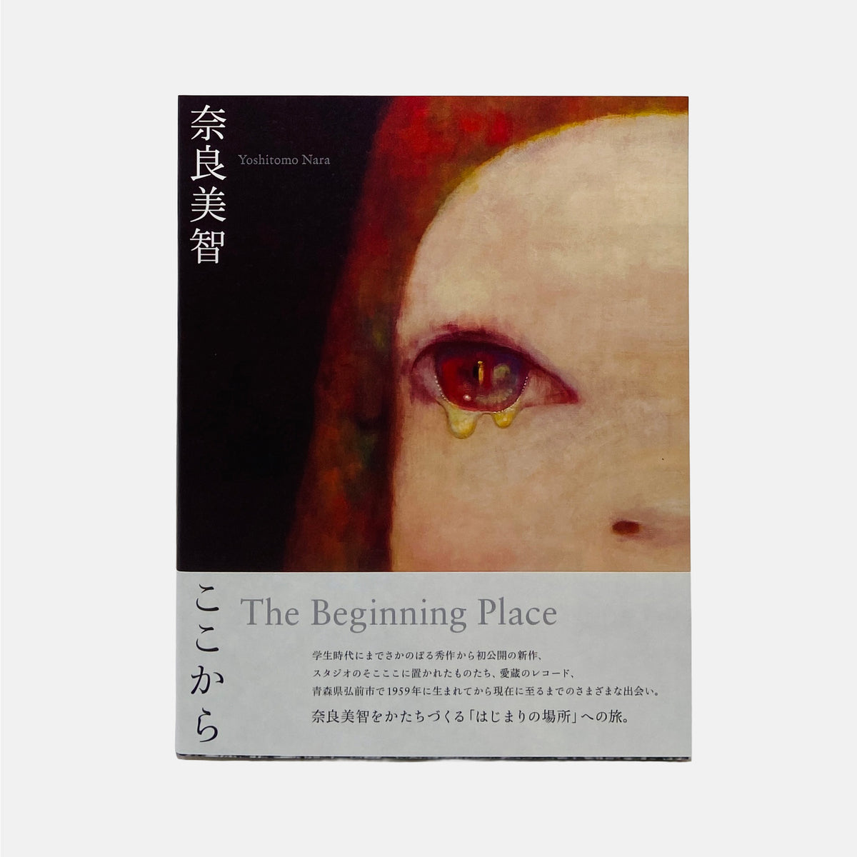 The Beginning Place - Yoshitomo Nara