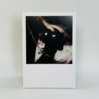 The Berlin Chameleon - Polaroids