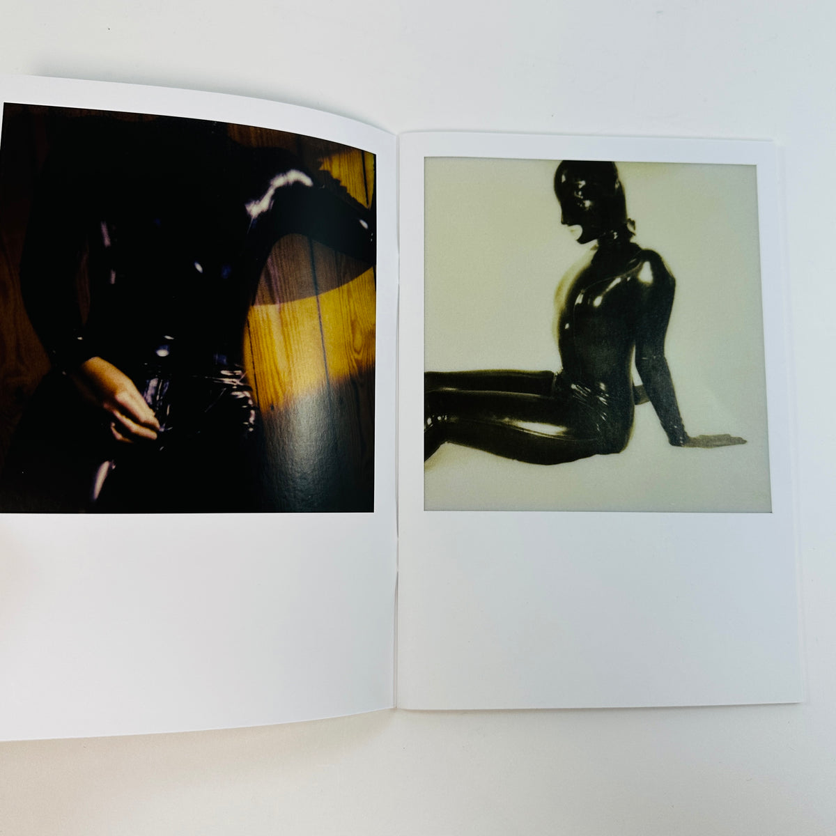 The Berlin Chameleon - Polaroids