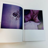 The Berlin Chameleon - Polaroids