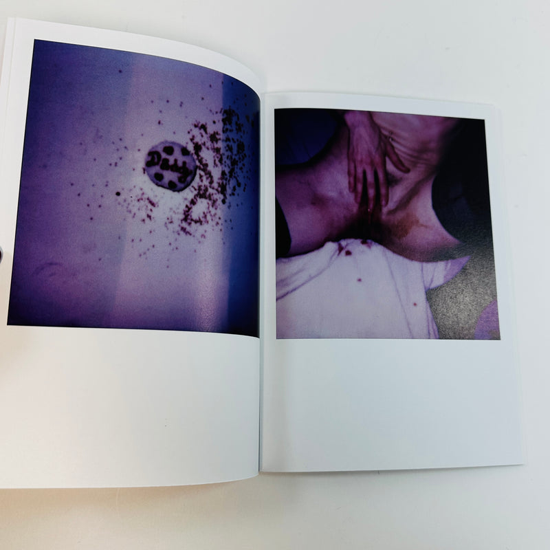 The Berlin Chameleon - Polaroids