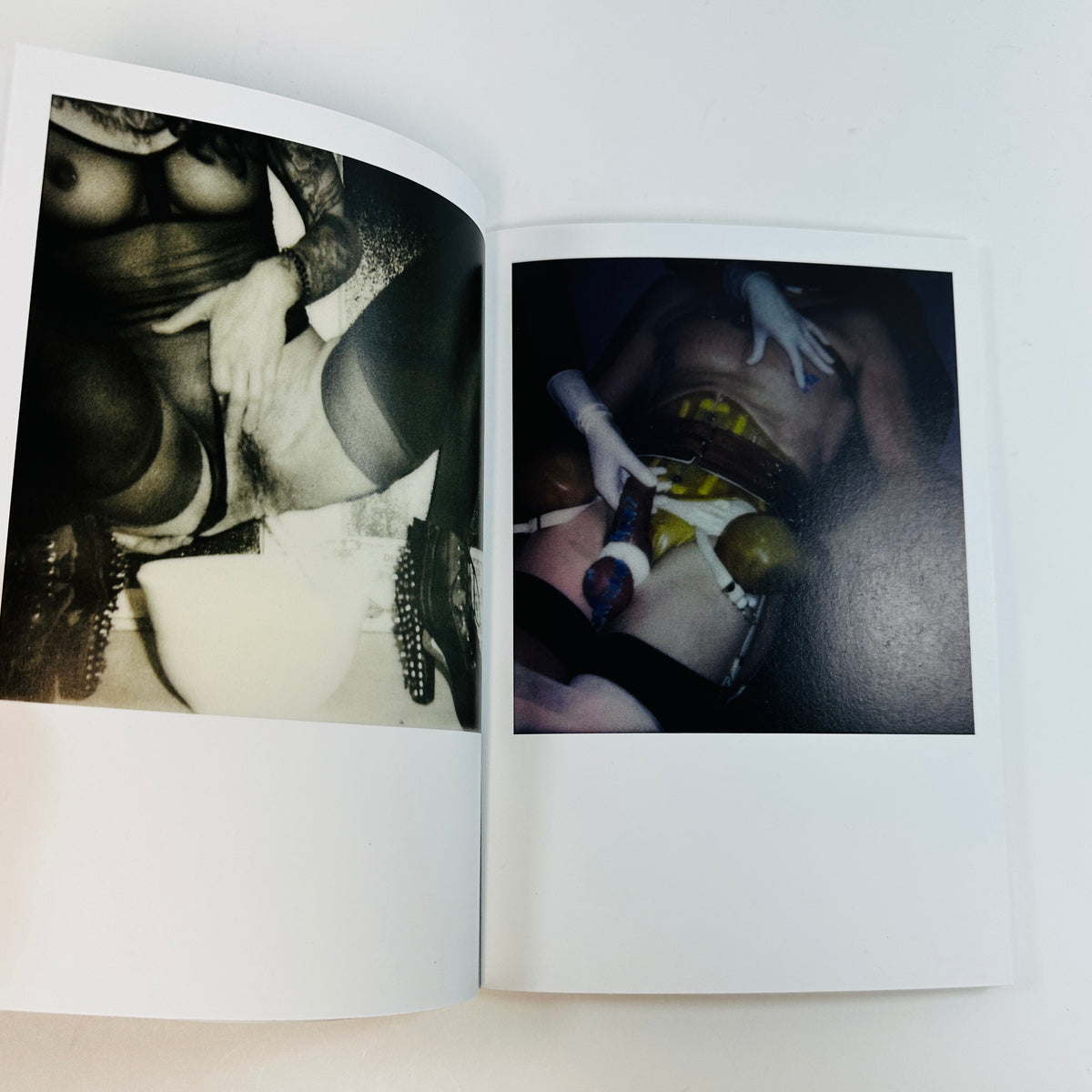 The Berlin Chameleon - Polaroids