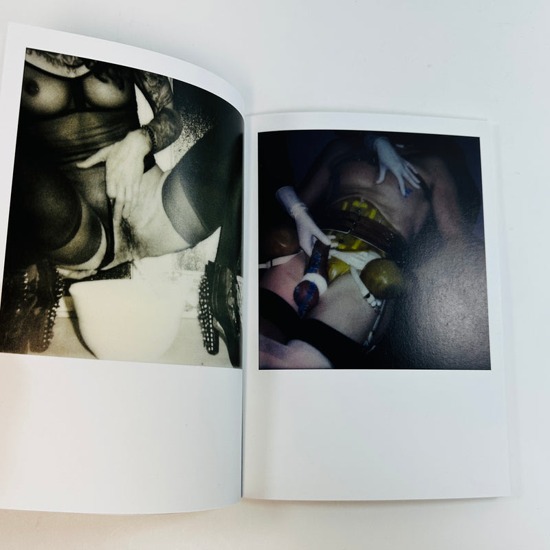 The Berlin Chameleon - Polaroids