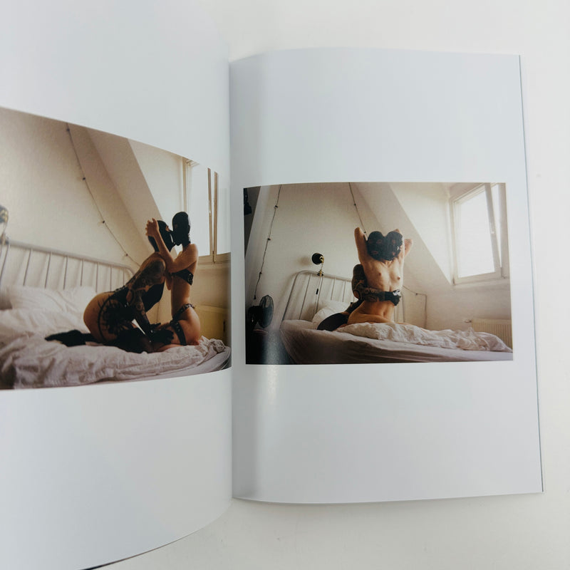 The Berlin Chameleon Archives #3
