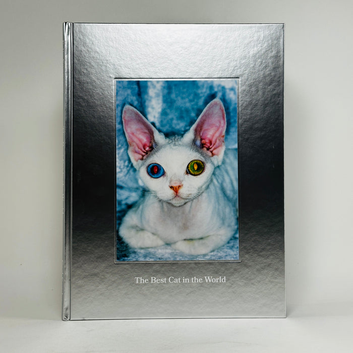 The Best Cat in the World - Felix Swensson