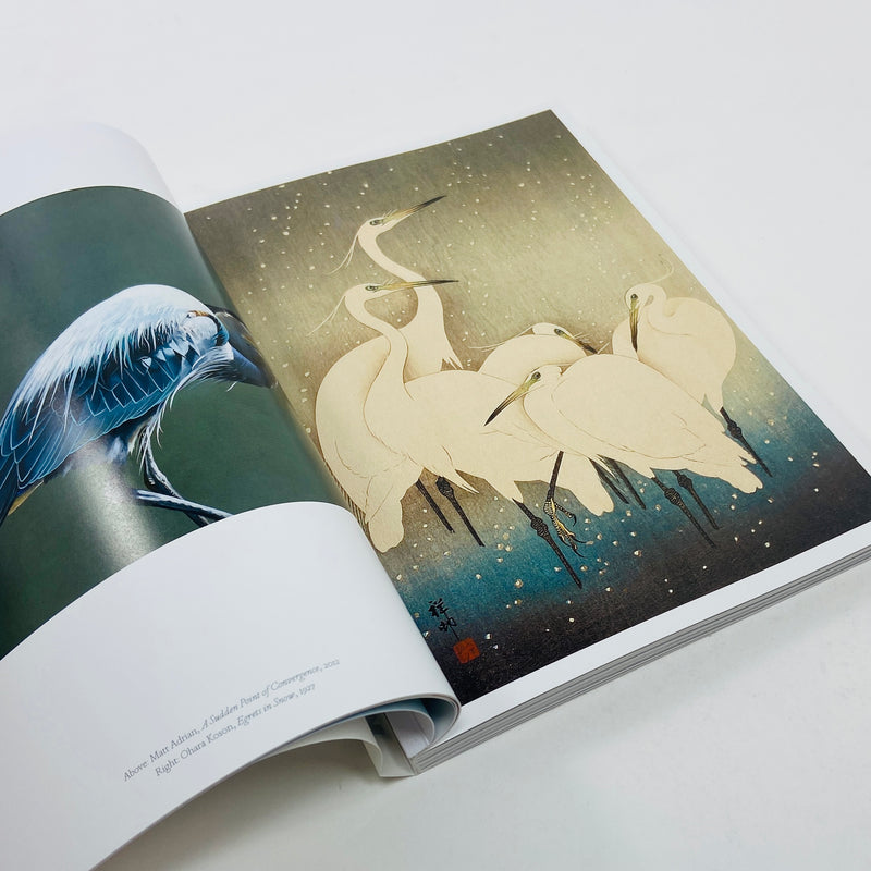 The Book of the Bird - Birds in Art