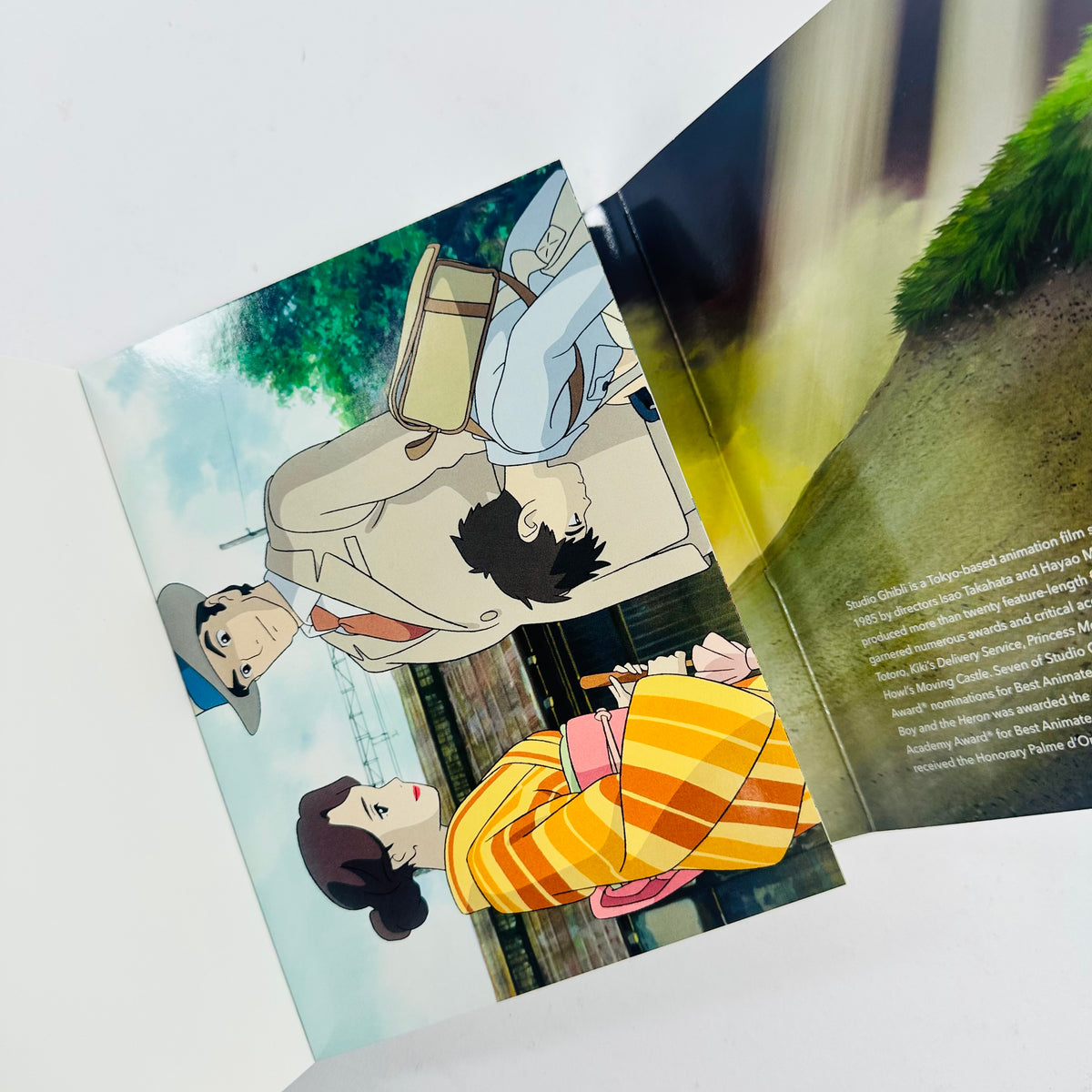 The Boy And The Heron - 30 Postcards