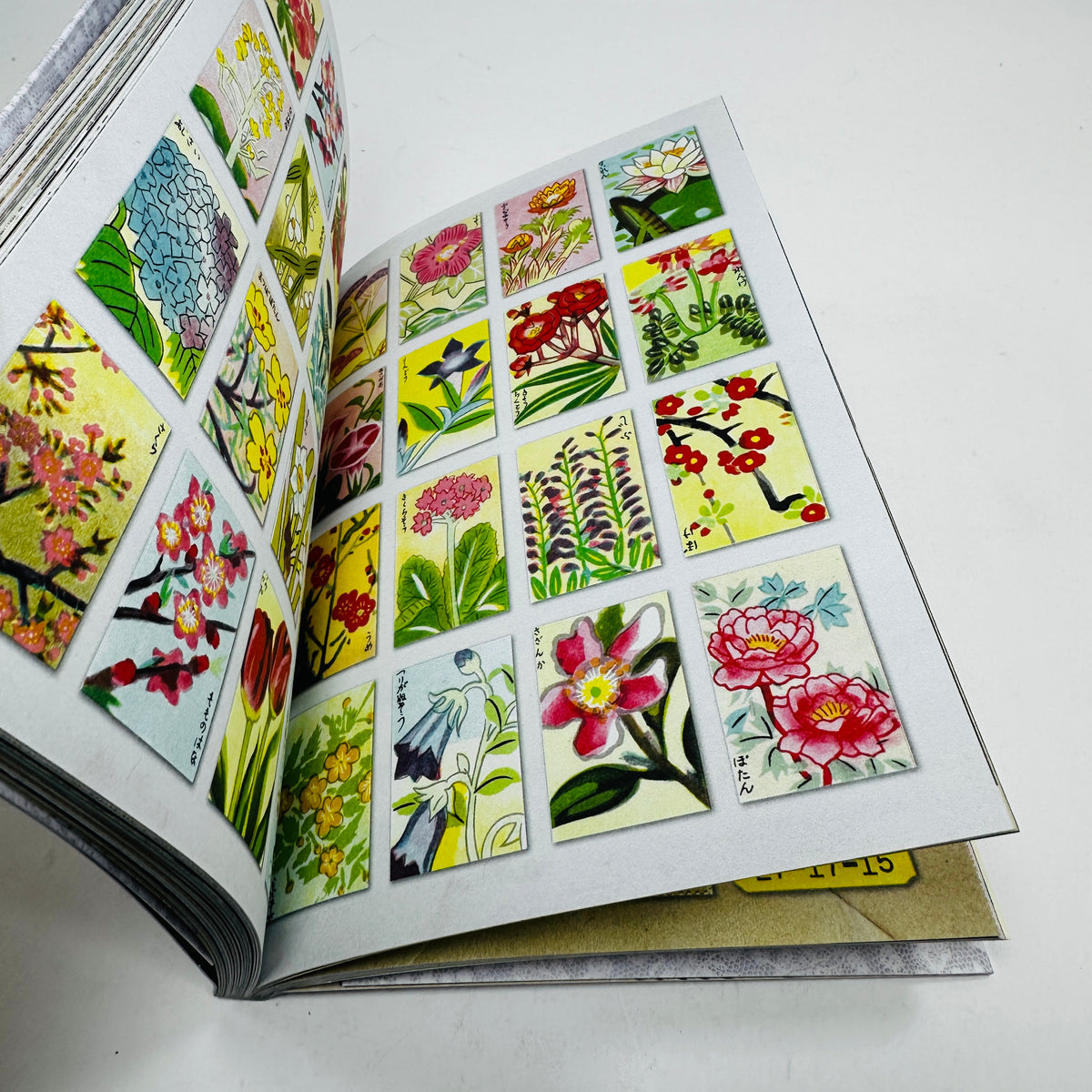 The Curious Collections Sticker Book