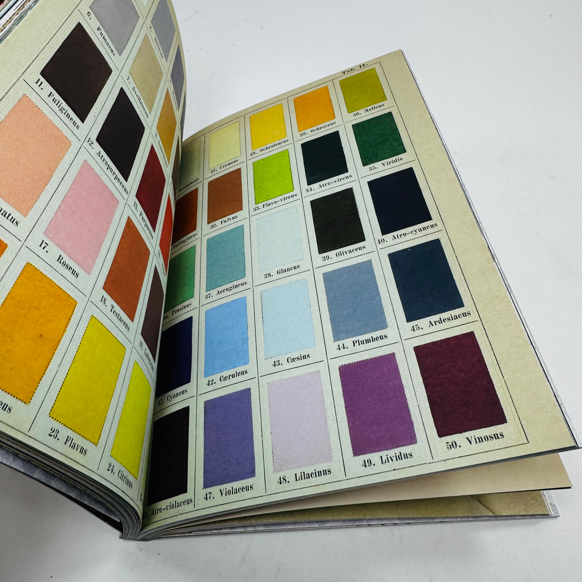 The Curious Collections Sticker Book