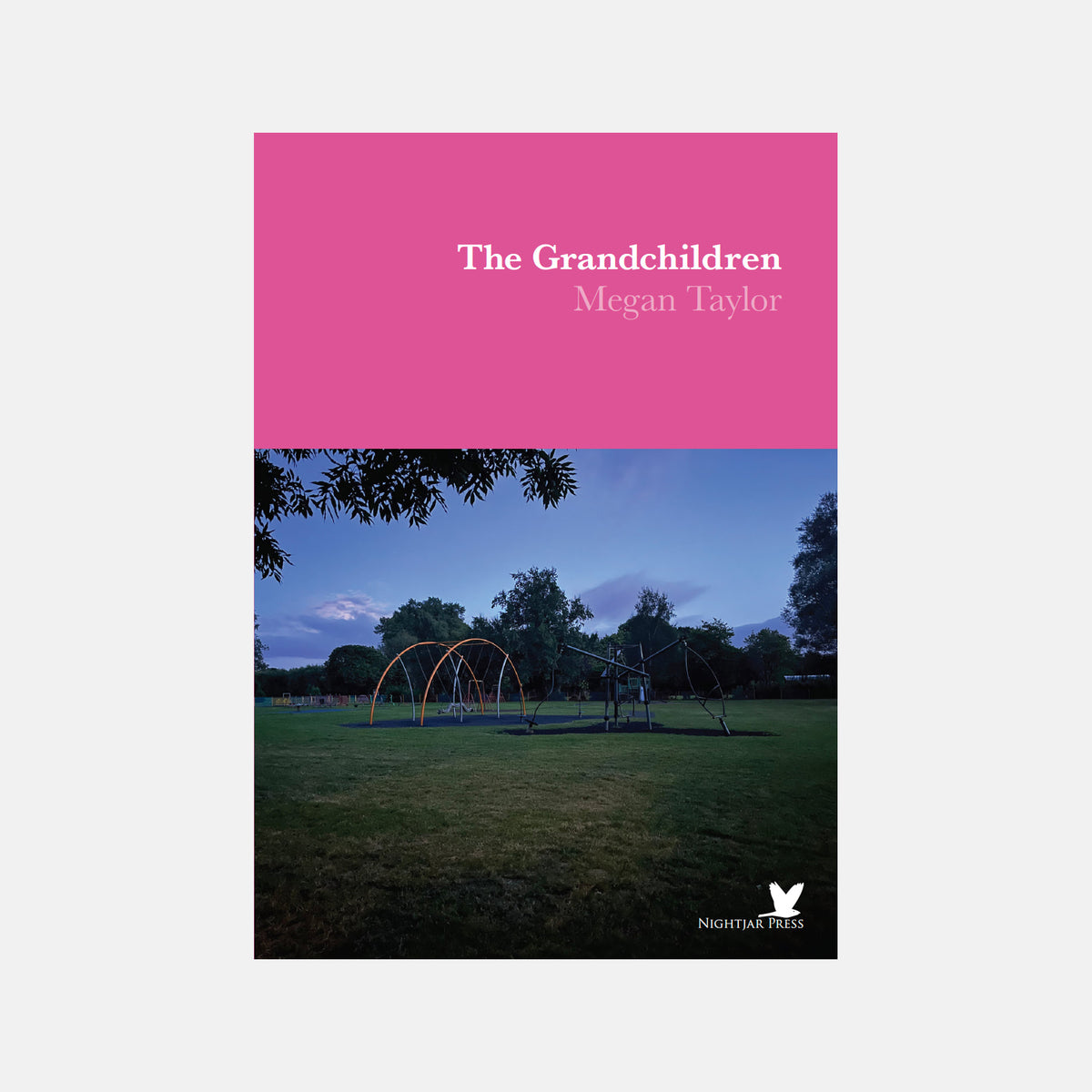 The Grandchildren - Megan Taylor