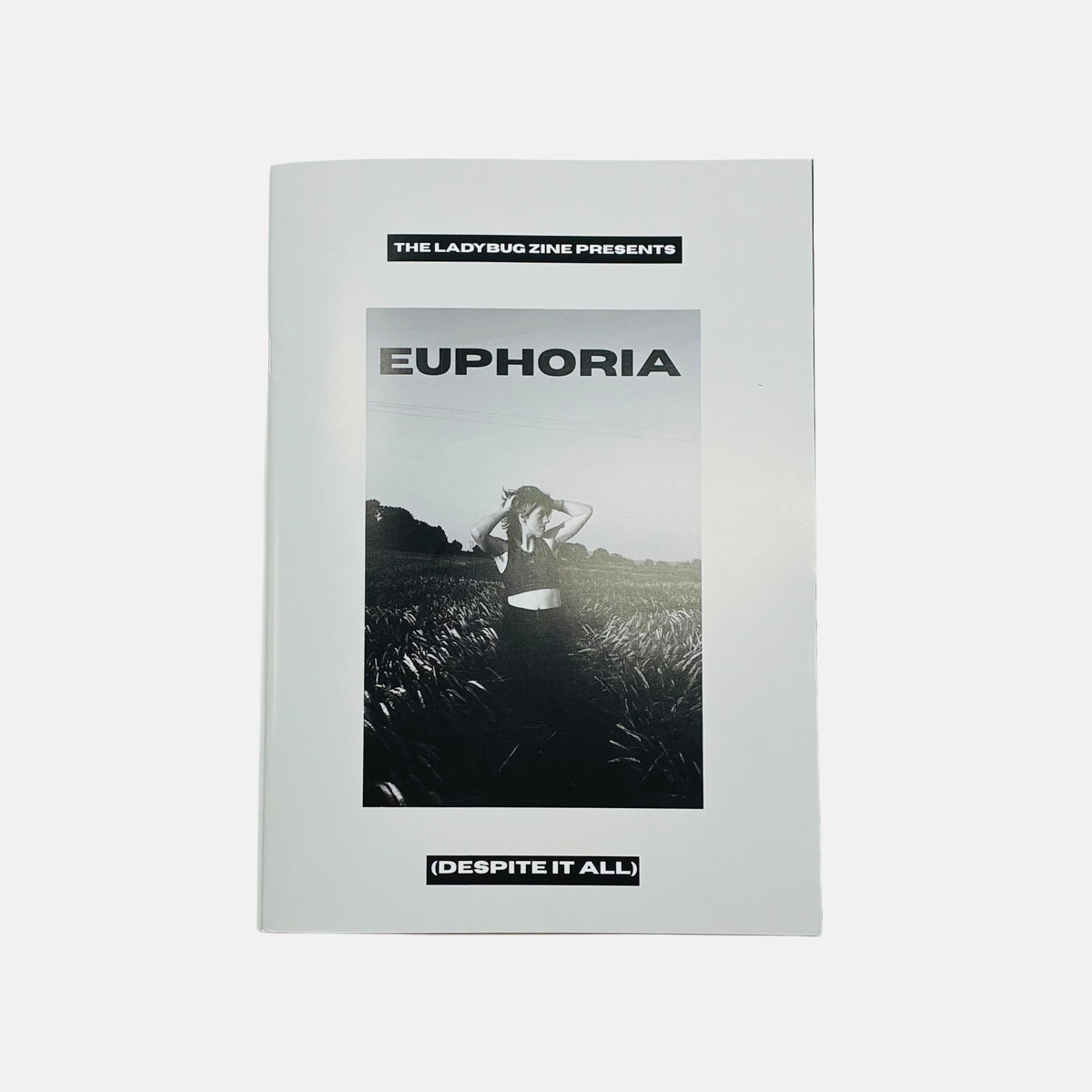 The Ladybug - Euphoria (Despite It All)