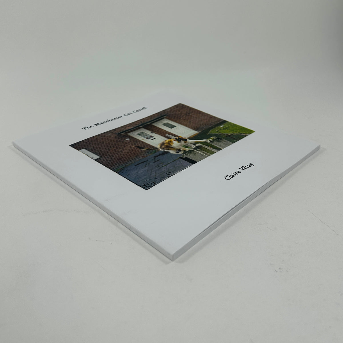 The Manchester Cat Cartel - Claire Wray