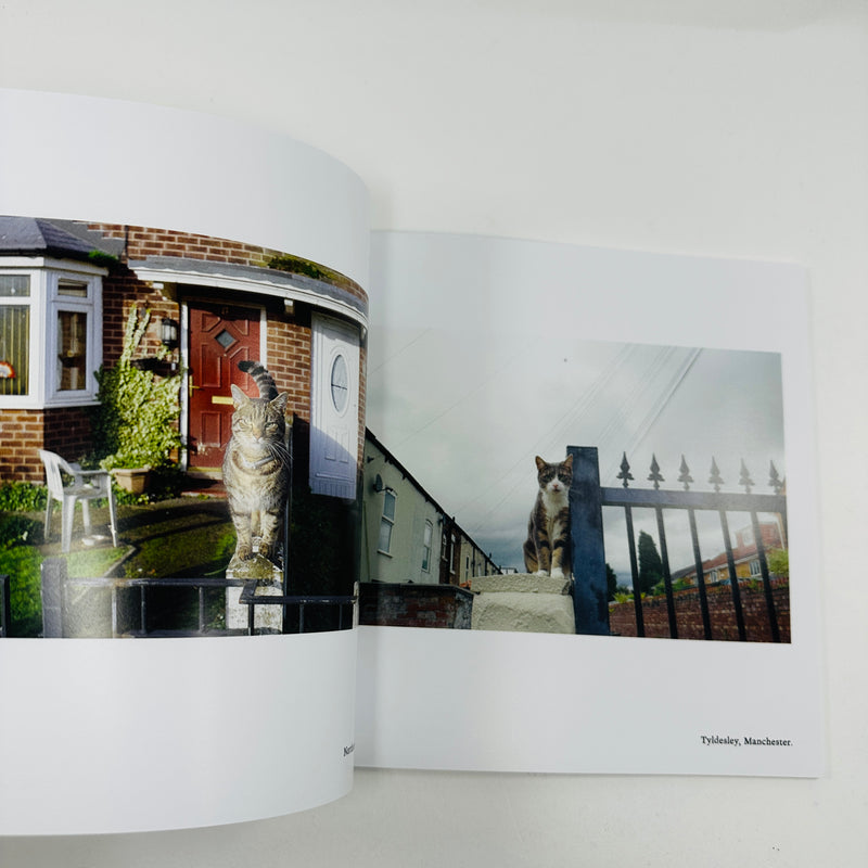 The Manchester Cat Cartel - Claire Wray