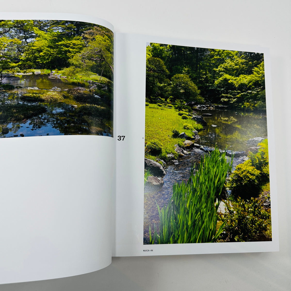 The Modern Japanese Garden