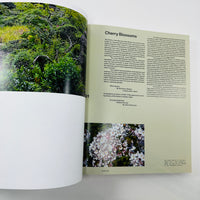 The Modern Japanese Garden