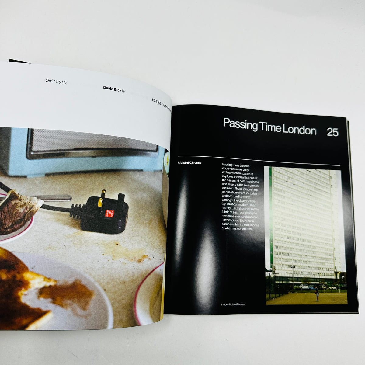 The Modernist #55 - The Ordinary