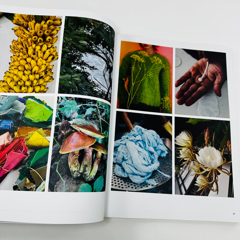 The Plant #24 - Autumn/Winter 2025