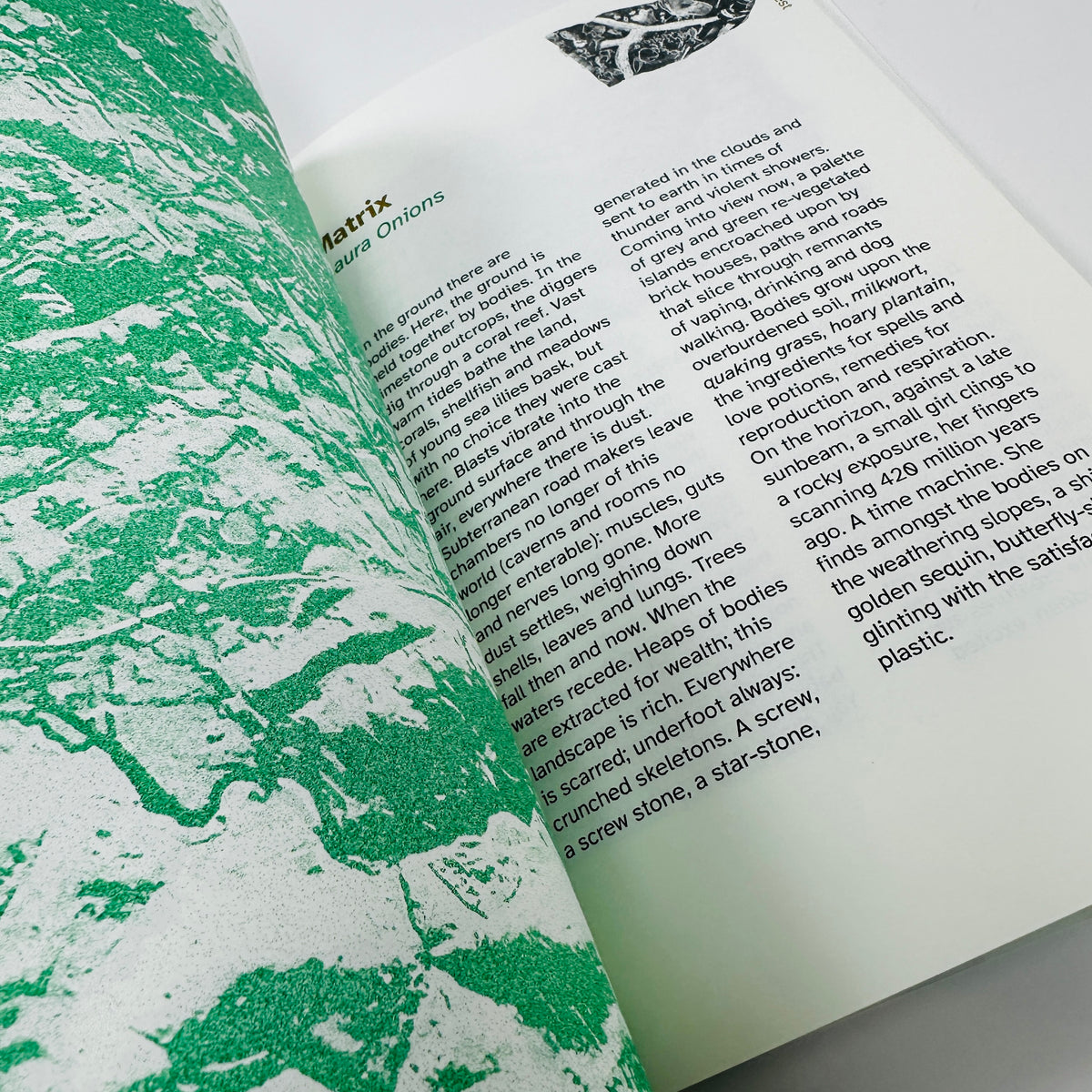 The Printing Room #2 - The Ground is Singing