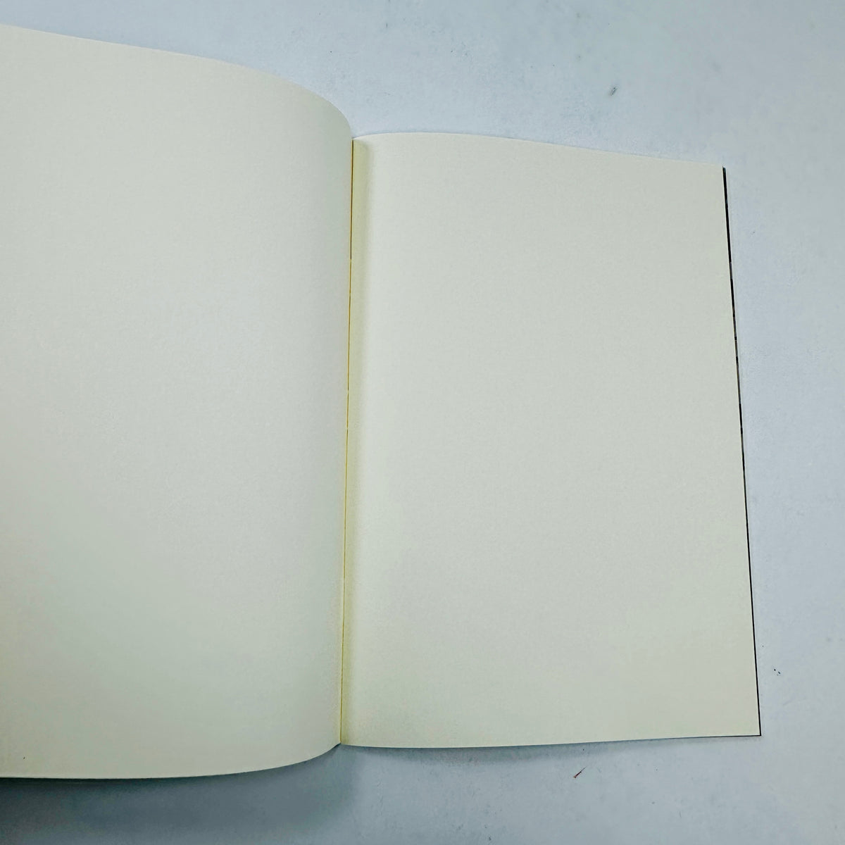 The Sea - Studies of Waves Notebook