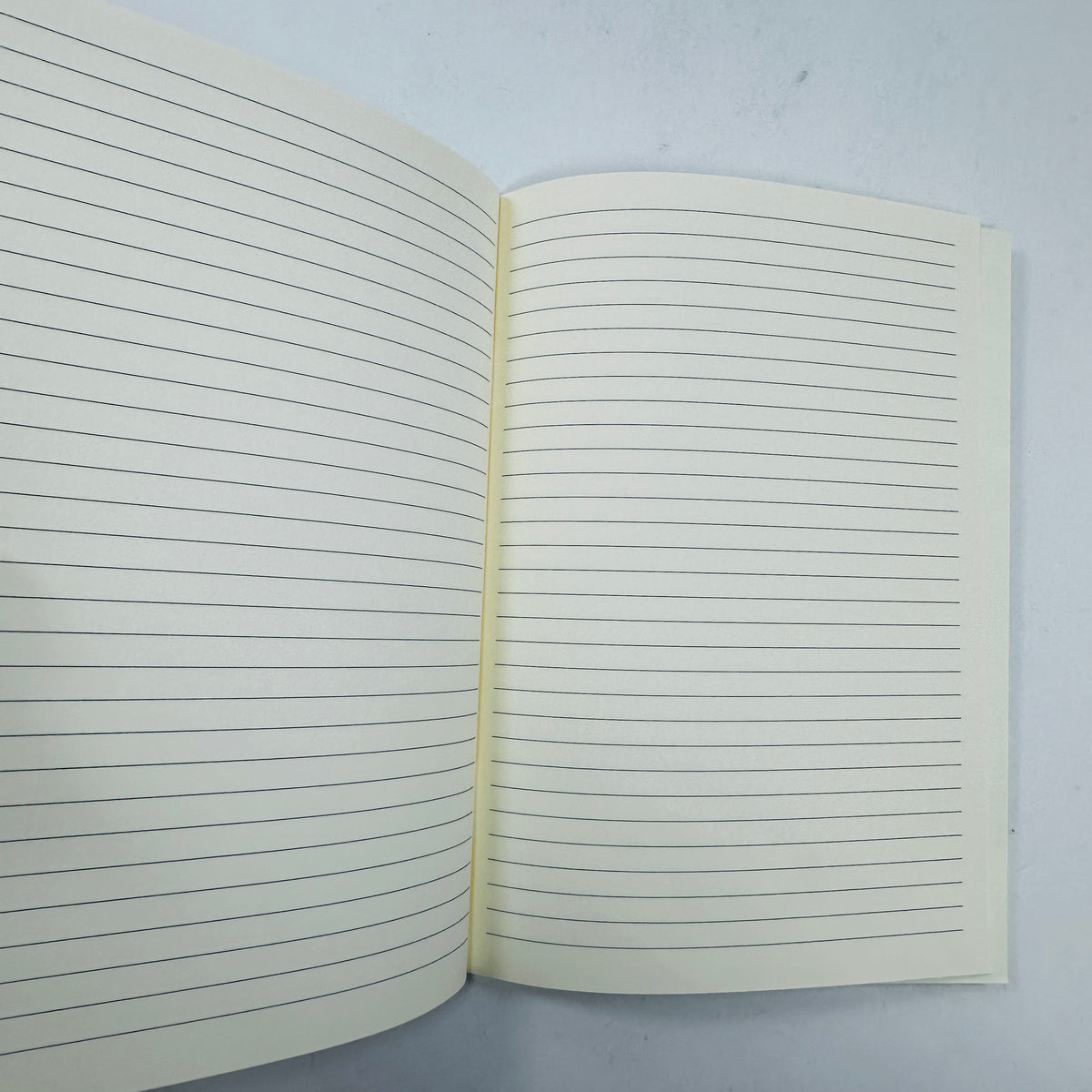 The Sea - Studies of Waves Notebook