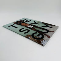 The Shy Guy #5 - Ring My Bell