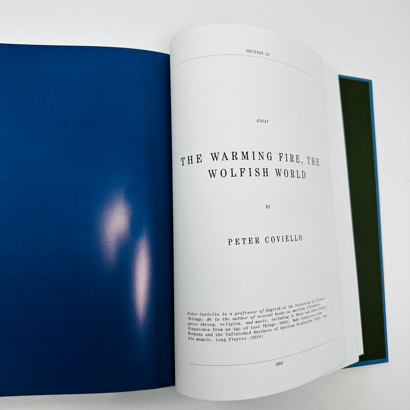 The Whale Screenplay Book