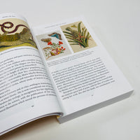 The Story of Art Without Men - Katy Hessell