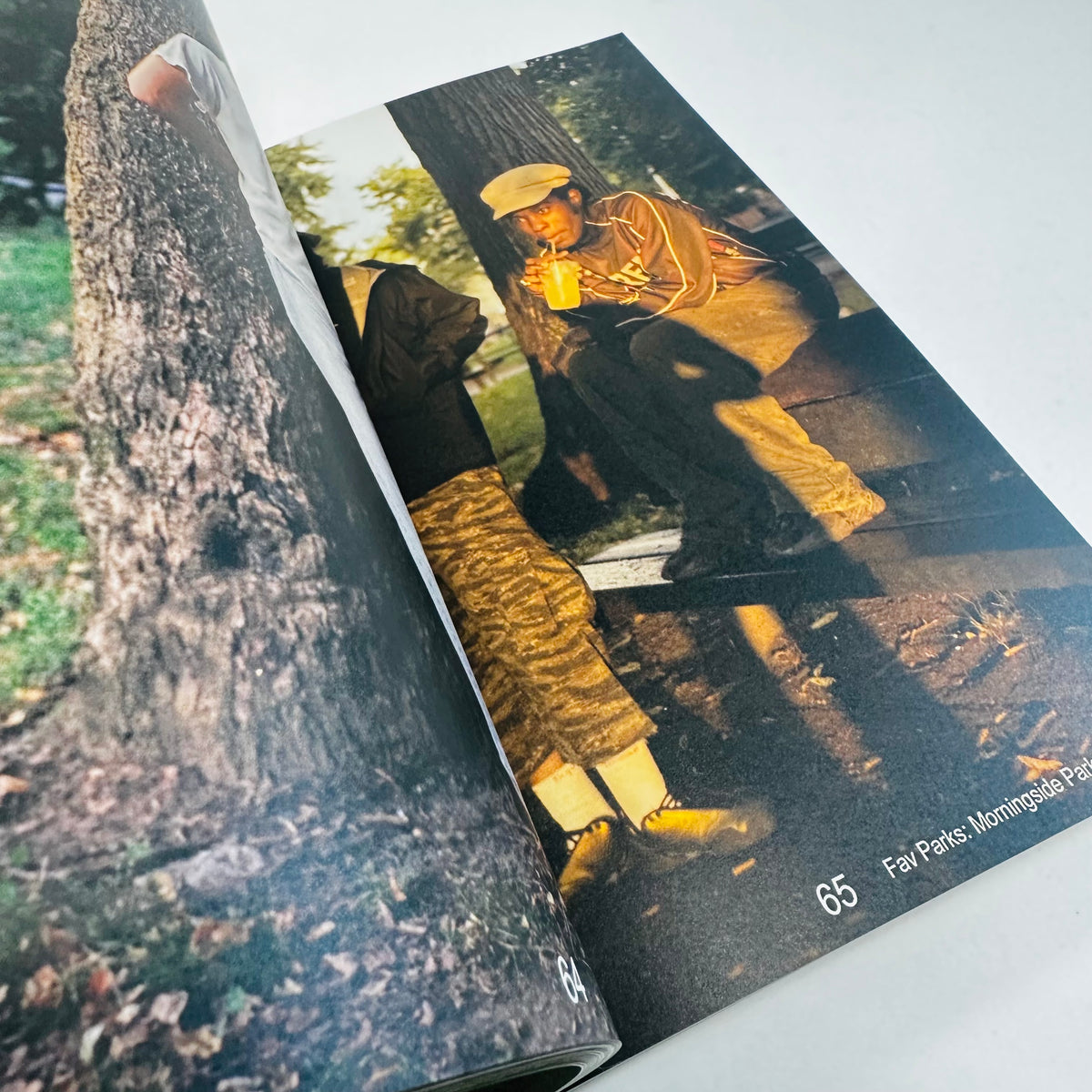 Third Place Zine #1 - Parkscapes