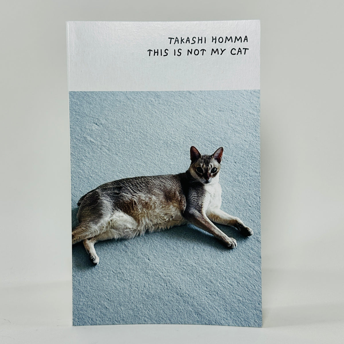 This Is Not My Cat - Takashi Homma