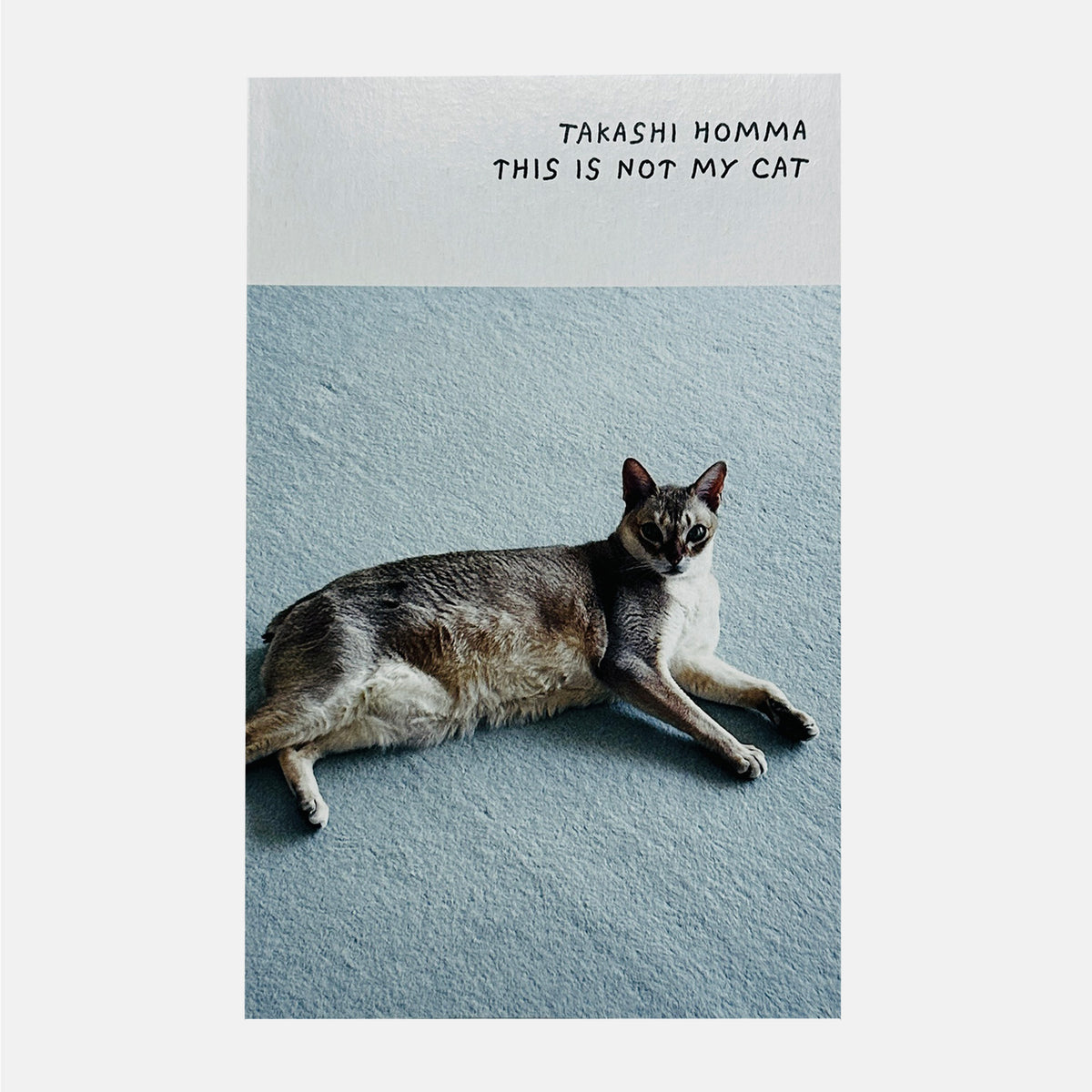 This Is Not My Cat - Takashi Homma