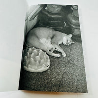 This Is Not My Cat - Takashi Homma