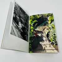 This Is Not My Cat - Takashi Homma