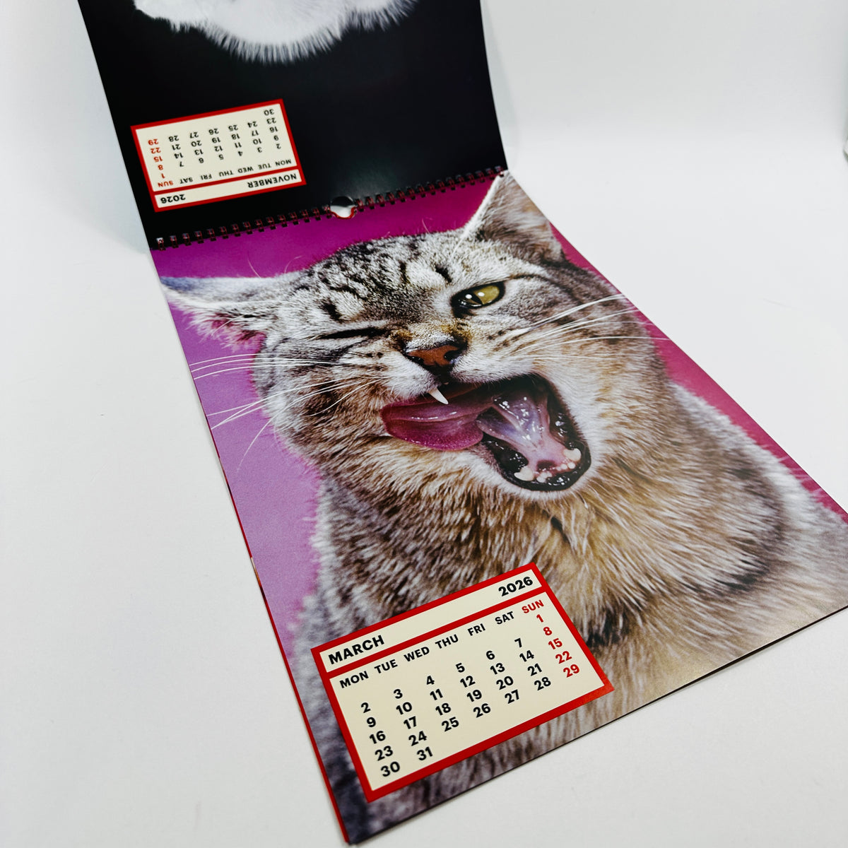 ToiletWalter PaperChandoha Calendar 2026