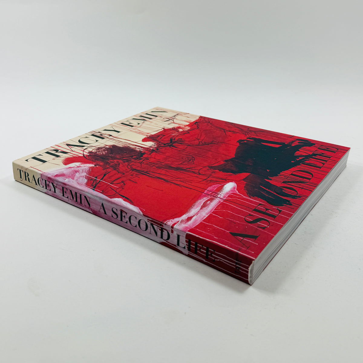 Tracey Emin - A Second Life