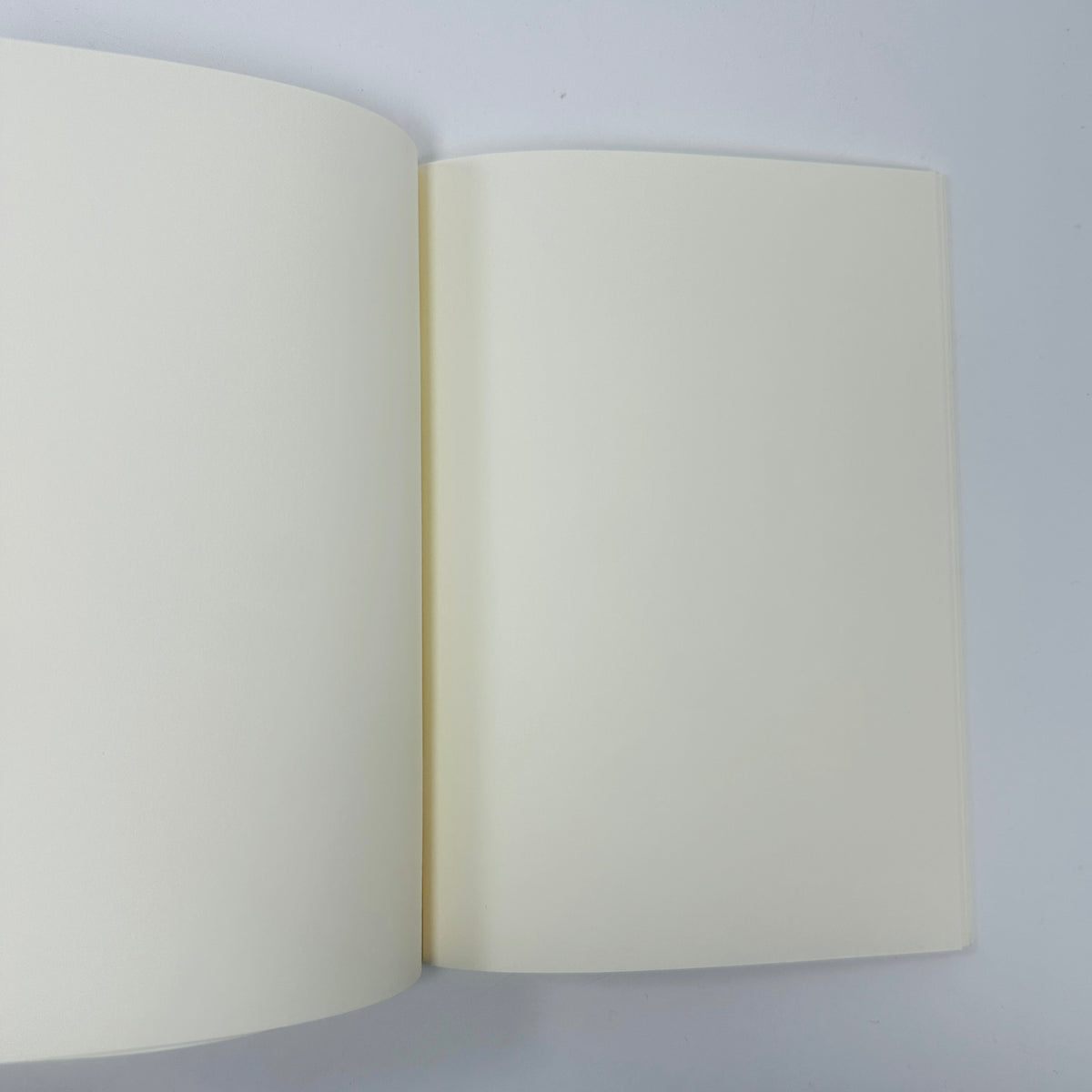 Traditional Japanese Toys Notebook