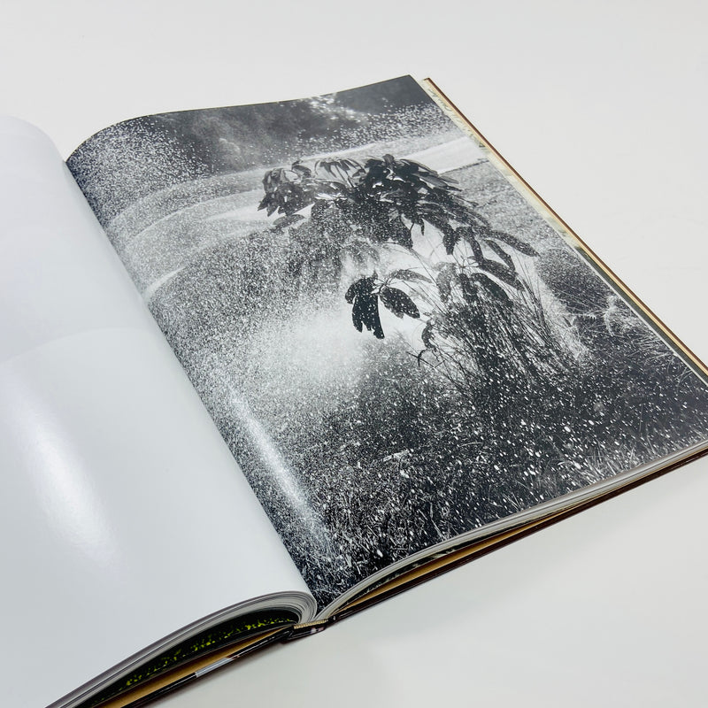 True Photo Journal #11
