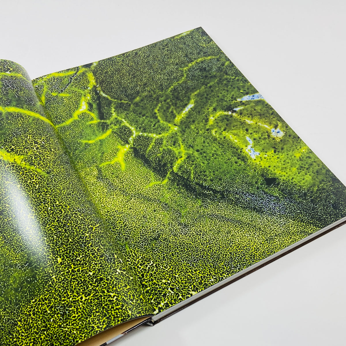 True Photo Journal #11