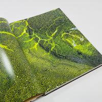 True Photo Journal #11