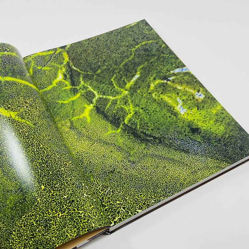 True Photo Journal #11